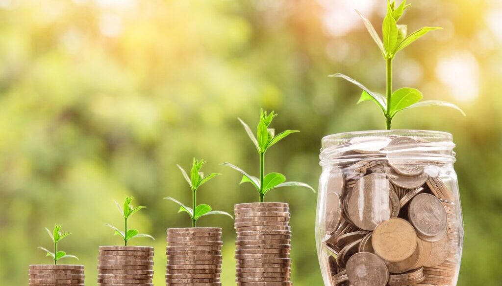 Maximizing ROI: The Impact of a Facebook Marketing Agency on Your Bottom Line